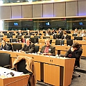 Bryssel 28 november - 1 december 2012 (112)